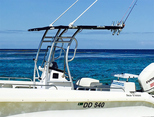 Promotion! Dolphin Pro2 Center - Rod Holder Fishing review and price